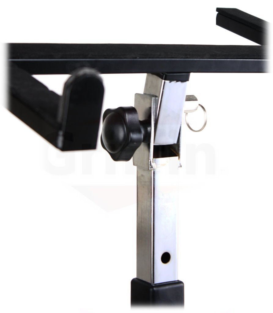 https://griffin-stands.com/wp-content/uploads/imported/Mobile-Studio-Mixer-Stand-DJ-Cart-by-Griffin-Rolling-Standing-Rack-On-Casters-with-Adjustable-HeightPortable-Turntabl-B004THB824-2.jpg